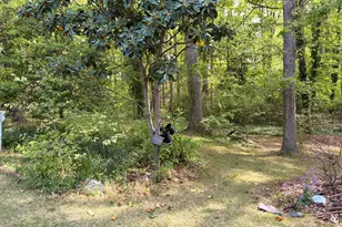 583 Steele St, Asheboro, NC 27205 - Photo 29