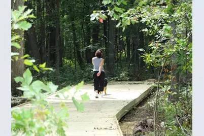 314 Williams Grv Lane, Apex, NC 27523 - Photo 23