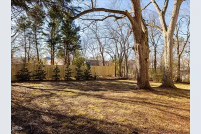 298 E Salisbury Street, Pittsboro, NC 27312 - Photo 39