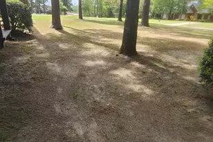 3017 Octavia Dr, Rocky Mount, NC 27804 - Photo 25