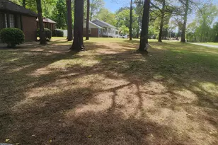 3017 Octavia Dr, Rocky Mount, NC 27804 - Photo 29