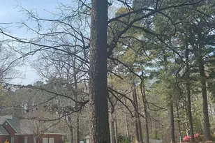 3017 Octavia Dr, Rocky Mount, NC 27804 - Photo 21
