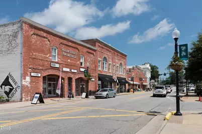 348 Williams Grv Lane, Apex, NC 27523 - Photo 19