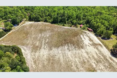 209 Buggy Street, Pikeville, NC 27863 - Photo 5