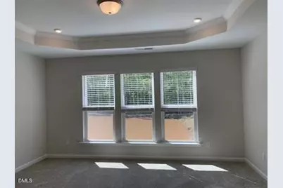 1614 Glacier Drive, Durham, NC 27713 - Photo 19
