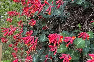 2106 Pear Tree Ln, Durham, NC 27703 - Photo 65