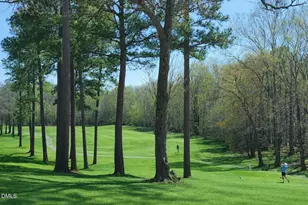 139 Hatchet Cove, Louisburg, NC 27549 - Photo 51