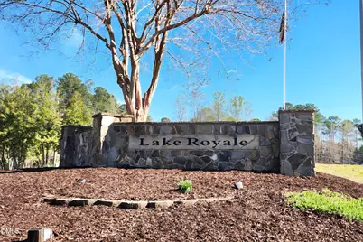 139 Hatchet Cove, Louisburg, NC 27549 - Photo 43