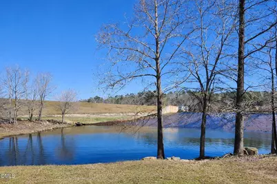 139 Hatchet Cove, Louisburg, NC 27549 - Photo 49