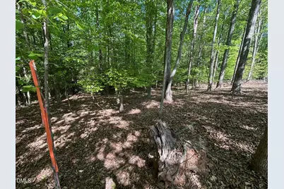 134 Red Dog Drive, Louisburg, NC 27549 - Photo 7