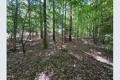 134 Red Dog Drive, Louisburg, NC 27549 - Photo 11