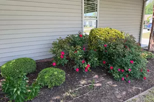 125 E Moss Creek Dr, Clayton, NC 27520 - Photo 23