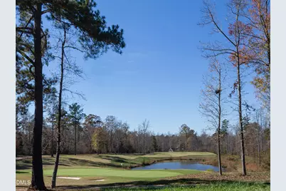 60 Willow Creek Court, Pittsboro, NC 27312 - Photo 39