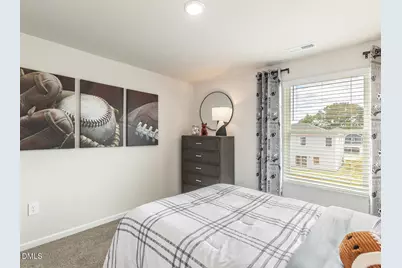 134 Thistle Patch Place, Angier, NC 27501 - Photo 13