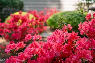 105 Fifemoor Ct, Cary, NC 27518 - Photo 67