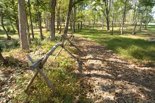 85 Summersweet Ln, Chapel Hill, NC 27516 - Photo 73