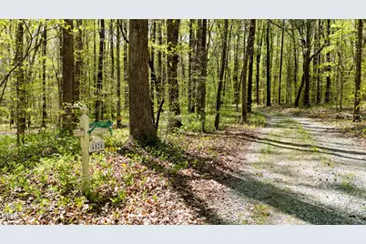 4524 Ridge Trail, Efland, NC 27243 - Photo 39