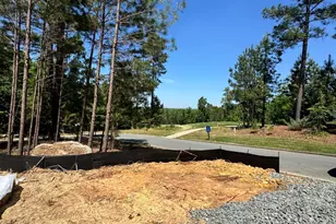 45 Quail Point, Pittsboro, NC 27312 - Photo 21