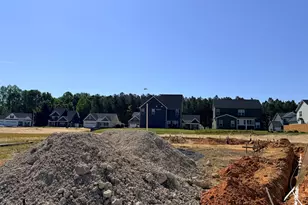 143 Grinnell Loop, Sanford, NC 27332 - Photo 5
