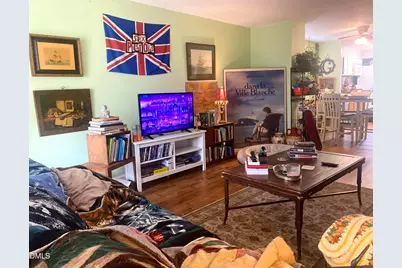 119 Schultz Street, Chapel Hill, NC 27514 - Photo 3