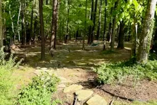105 Glenhaven Dr, Chapel Hill, NC 27516 - Photo 45