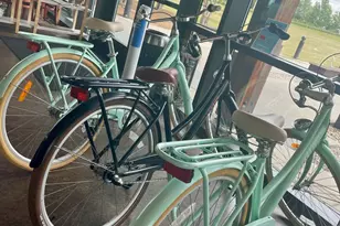 1808 Lumineer Ln, Wendell, NC 27591 - Photo 9