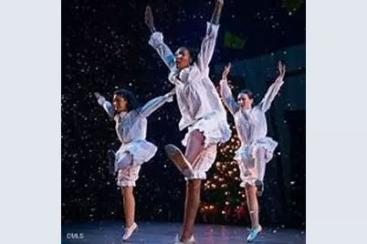 1060 Zelkova Lane, Durham, NC 27517 - Photo 33