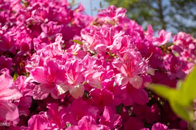 5125 Kenwood Road, Durham, NC 27712 - Photo 45