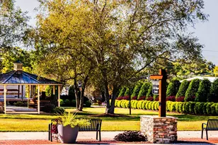 20 Serpens Dr, Angier, NC 27501 - Photo 7