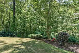 58 S Julip Ct, Pittsboro, NC 27312 - Photo 49