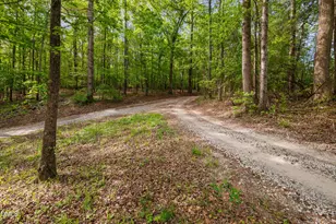 33 Barletta Ct, Clayton, NC 27527 - Photo 69