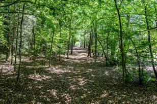394 King Rd, Castalia, NC 27816 - Photo 93