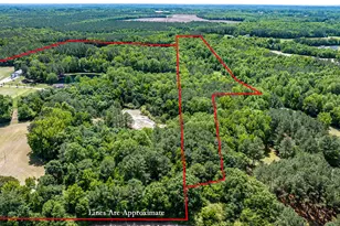394 King Rd, Castalia, NC 27816 - Photo 57