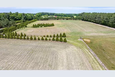 394 King Road, Castalia, NC 27816 - Photo 69