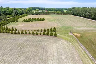 394 King Rd, Castalia, NC 27816 - Photo 69