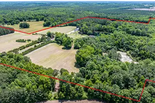 394 King Rd, Castalia, NC 27816 - Photo 59