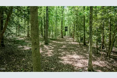 394 King Road, Castalia, NC 27816 - Photo 91