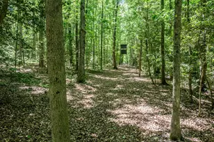 394 King Rd, Castalia, NC 27816 - Photo 91