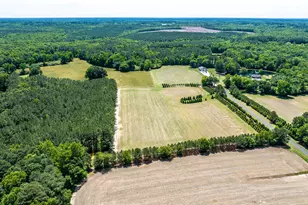 394 King Rd, Castalia, NC 27816 - Photo 63