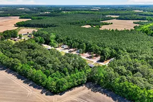 219 Chase St, Eureka, NC 27830 - Photo 39