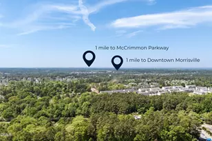 421 Liberty Hill Pass, Morrisville, NC 27560 - Photo 29