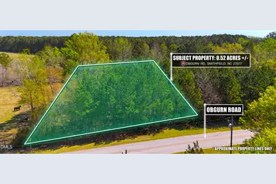 0 Ogburn Road, Smithfield, NC 27577 - Photo 1