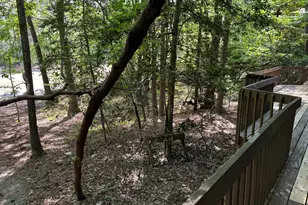 1723 Margarita, Sanford, NC 27332 - Photo 49