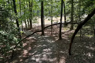 1723 Margarita, Sanford, NC 27332 - Photo 59