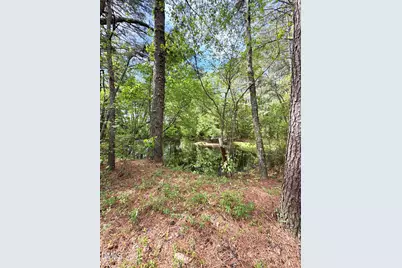 640 Tart Town Road, Dunn, NC 28334 - Photo 73