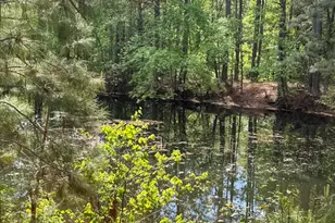 640 Tart Town Rd, Dunn, NC 28334 - Photo 71