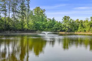 3782 US 421 N, Lillington, NC 27546 - Photo 43