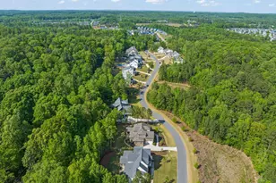 594 Birch Hollow Rd, Chapel Hill, NC 27516 - Photo 59