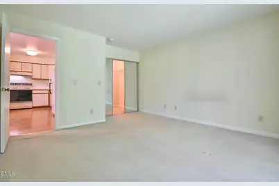199 Summerwalk Circle, Chapel Hill, NC 27517 - Photo 19