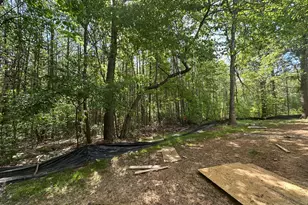 2317 Alex Cockman Rd, Pittsboro, NC 27312 - Photo 13